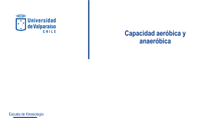 Capacidad Aer&oacute;bica y Anaer&oacute;bica: VO2max y Fisiolog&iacute;a del Ejercicio