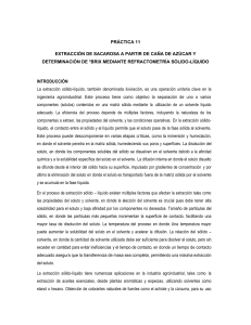 Pr&aacute;ctica 11: Extracci&oacute;n de Sacarosa y Determinaci&oacute;n de &deg;Brix