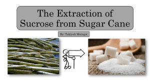 The Extraction of Sucrose from Sugar Cane: A Detailed Process Guide