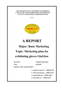 Marketing Plan for GlaGlow Exfoliating Gloves: A University Report