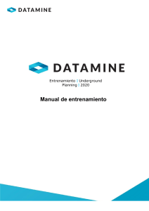 Manual de Entrenamiento de Planeamiento Subterr&aacute;neo Datamine 2020
