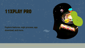 11xplay pro