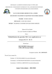 R&eacute;habilitation du gazoduc GK1: M&eacute;moire de Master