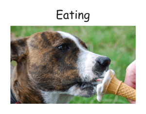 2606-Animals Eating-Mustard Seed-FKB