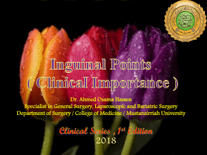 Inguinal Points: Anatomy & Clinical Importance