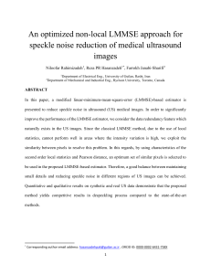 Optimized Non-Local LMMSE for Ultrasound Speckle Noise Reduction