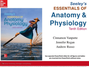 Anatomy & Physiology Textbook: Essentials, Tenth Edition
