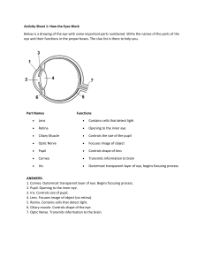 How the Eyes Work: Anatomy Activity Sheet & Functions Explained