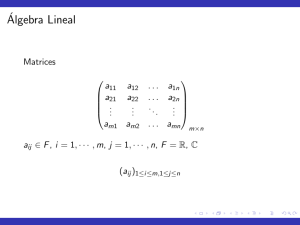 &Aacute;lgebra Lineal: Matrices, Vectores y Sistemas de Ecuaciones