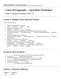 Class 10 Geography Agriculture Worksheet