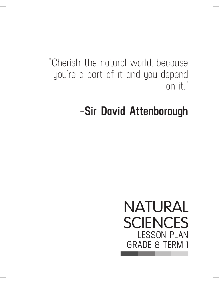 Grade 8 Natural Sciences Lesson Plan - Term 1