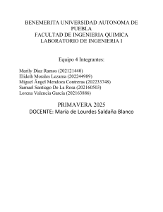 Informe de Laboratorio de Conducción Radial de Calor - Ingeniería Química
