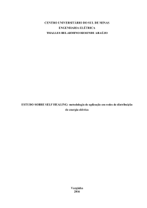 TCC thalles final