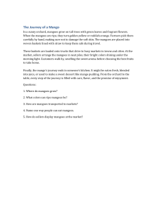 The Journey of a Mango: Reading Comprehension & Questions