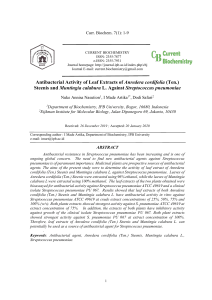 Antibacterial Activity of Anredera & Muntingia Leaf Extracts on S. pneumoniae