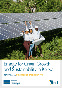 Energy for Green Growth & Sustainability in Kenya: Grants Term Sheet