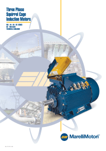 MarelliMotori Three Phase Induction Motors: MA-A4-B4-B5 Technical Catalogue
