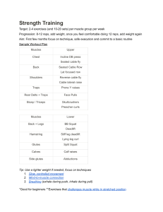 Strength Training Guide: Exercises, Progression & Sample Workout Plan