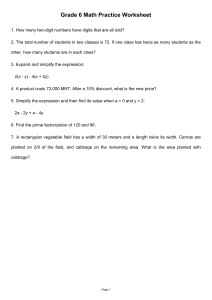 Grade 6 Math Practice Worksheet: Algebra, Geometry & Number Problems