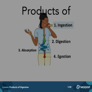 Products of Digestion Lesson: Absorption, Nutrients & Digestive System