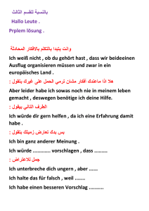 Deutsch-Konversation: Phrasen f&uuml;r Probleml&ouml;sung und Diskussionen