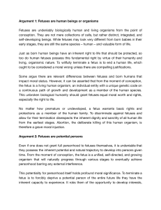 Arguments Against Abortion: Fetal Rights & Moral Status