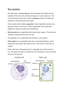 Cell Structure & Organelles: Key Points for Plant & Animal Cells