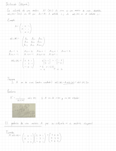 Algebra Matricial 3