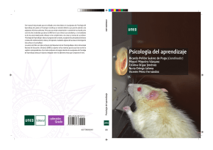 Psicolog&iacute;a del Aprendizaje UNED