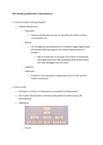 Mål, strategi og effektivitet i en organisasjon