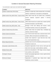 Neurological Conditions Matching Worksheet | Medical Education