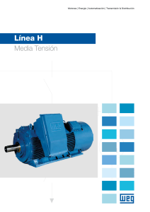 Hoja de Datos Motor Media Tensión WEG Línea H