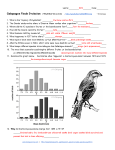 Galapagos Finch Evolution Worksheet: Natural Selection & Speciation