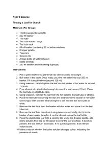 Testing a Leaf for Starch: Year 9 Science Experiment Guide