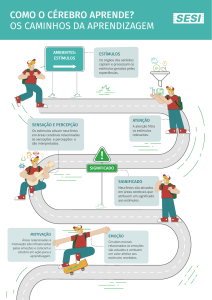 Como-o-cérebro-aprende Infografico
