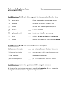Respiratory System Review: Anatomy, Physiology, Diseases Quiz