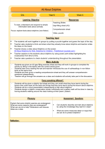 Dolphin Facts Lesson Plan for Year 6 EAL Students
