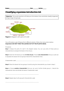 Biology Lab: Classifying Organisms Introduction with Leaves
