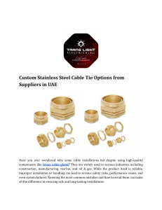 Custom Stainless Steel Cable Tie Options from Suppliers in UAE