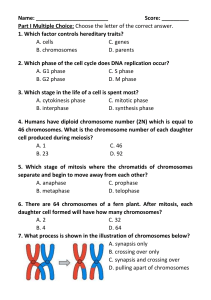 Biology Cell Cycle & Genetics Quiz: Mitosis, Meiosis, DNA Replication