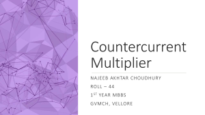 Countercurrent Multiplier: Renal Physiology & Urine Concentration