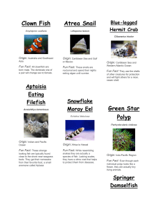 Marine Life Fun Facts: Aquarium Species Guide & Biology