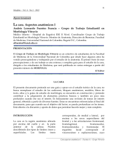 cafloridoc,+Aporte+Estudiantil+Cara+aspectos+anat&oacute;micos+I
