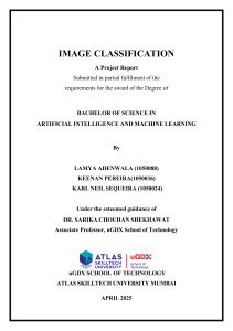 Image Classification Project Report: CNNs for Facial Emotion Recognition