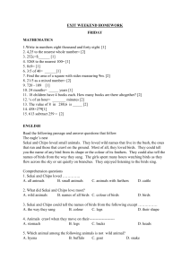 Elementary School Weekend Homework: Math, English, Shona, Science