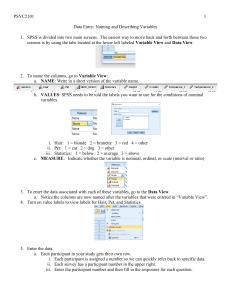 SPSS Data Entry Guide: Naming and Describing Variables (PSYC2101)