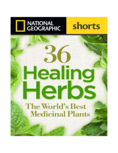 36 Healing Herbs: The World's Best Medicinal Plants | National Geographic