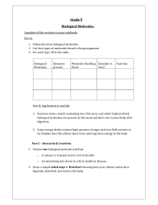 Grade 9 Biological Molecules Worksheet: Structure, Function & Diet