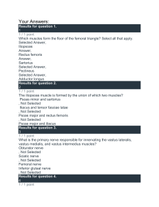Lower Limb Anatomy Quiz: Muscles, Nerves, Joints & Ligaments
