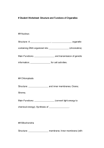 Student Worksheet: Cell Organelle Structure & Function